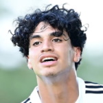 Photo of Omar Megeed — Hamburger SV