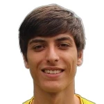 Diego Enrique Amaral Tavares